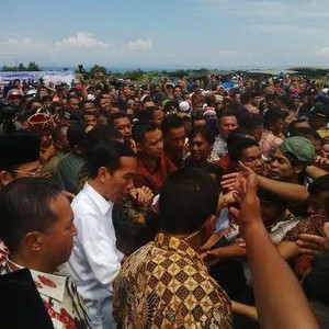 Jokowi Janji Naikkan Harga Jagung di Tingkat Petani