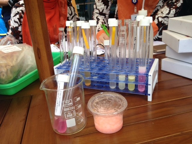 KPAI: Pemerintah Tak Boleh Abai Terhadap Jajanan Anak di Sekolah