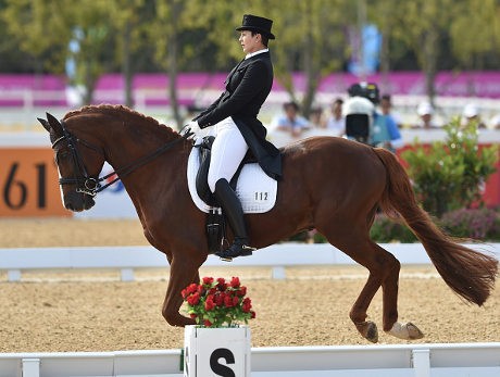 Menpora Ingin Konflik di Organisasi Berkuda Segera Tuntas