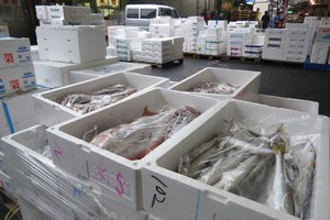 Pasar Ikan Tsukiji di Tokyo, Paling Top Sedunia