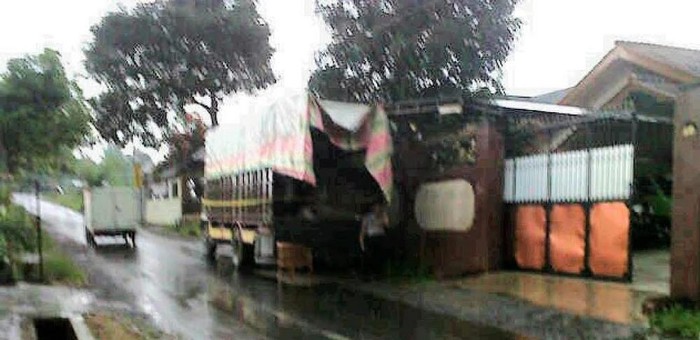 Truk Tronton Bermutan 500 Kg Ganja Diamankan Polisi
