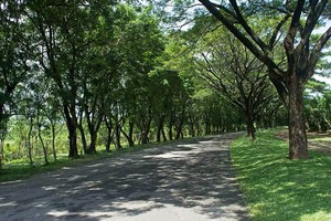 Eropa di Musim Panas? Bukan, Ini Jalanan di Tanjung Lesung
