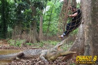 Selain adegan perkelahian, adu tembak hingga ledakan besar, para comic juga akan berhadapan dengan seekor buaya. (Dok Falcon Pictures)
