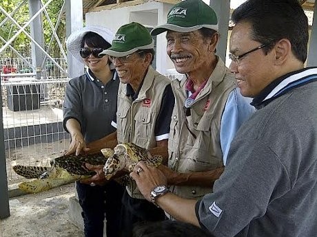 Daihatsu Ingin Seperti Penyu