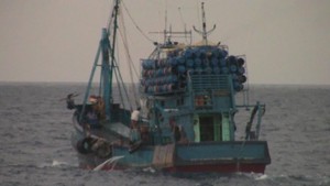 Illegal Fishing di RI, Menteri Susi: Dulu Terkubur Rapi dan Baru Terkuak