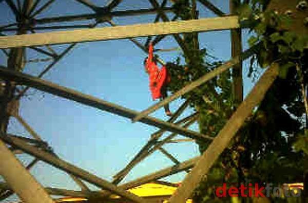 Mario Hingga Fitri Spiderkid, Para Penantang Maut yang Bikin Repot