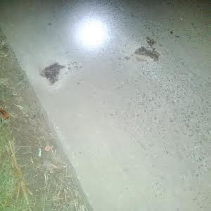 Ceceran Darah Korban Begal di Depok Ditutupi Pasir