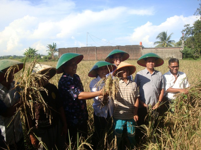 Rini Soemarno Ritual Makan Nasi Bosok di Sawah Banyumas