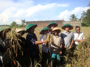Rini Soemarno Ritual Makan Nasi Bosok di Sawah Banyumas