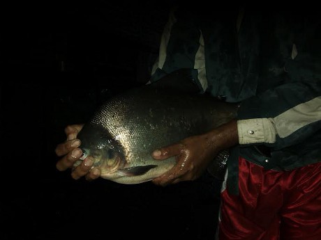 BPBD Bantul akan Verifikasi Kerugian Warga Akibat Lahar Hujan