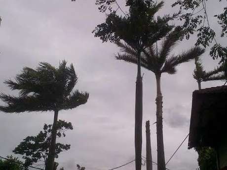 Pancaroba, Waspada Angin Puting Beliung dan Hujan Es di Wilayah Ini