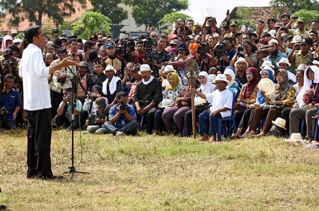 Jokowi Ingin Swasembada Beras, 3 Menteri Ini Makin Kompak