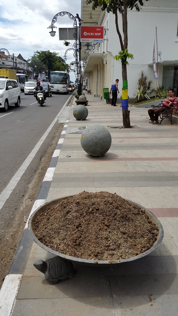 Waduh, Bunga Cantik di Jl Asia Afrika Bandung Raib usai Peringatan KAA