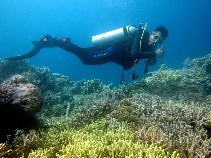 Sudah Berapa Banyak Turis yang Datang ke Surga Takabonerate?