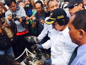 Kemenhut LH Ungkap Perdagangan Ilegal 6 Beruang Madu di Sumut