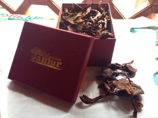 Ke Bangka, Coba Makan Jamur Termahal se-Indonesia