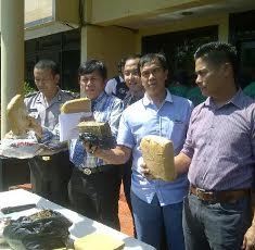 Sepekan Beraksi, Polres Jakbar Sita 7 Kg Ganja