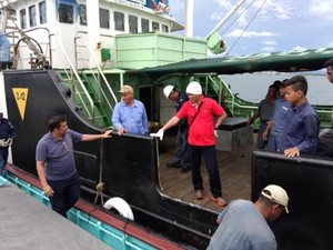 Perjuangan Satgas Illegal Fishing: Lompati Kapal Hingga Menembus Ombak