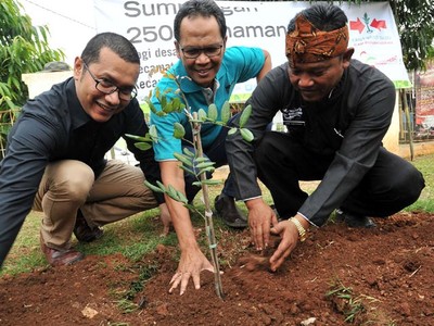 Ewindo Gelar Aksi Tanam Pohon di Purwakarta
