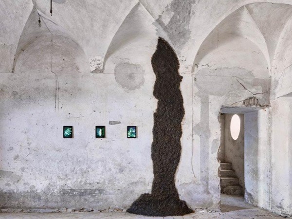 Idih! Museum di Italia Koleksi Tahi Sapi