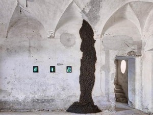 Idih! Museum di Italia Koleksi Tahi Sapi