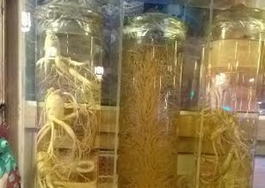 Ginseng Kualitas Top Korea, Baru Dipanen Setelah 6 Tahun