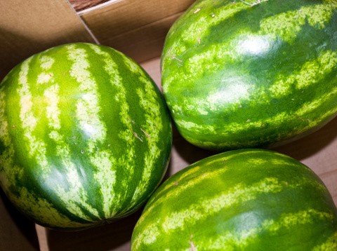 Beli Semangka? Cek Kemanisannya dengan Cara Ini (1)