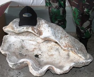 Kerang Raksasa Berpotensi Jadi Objek Wisata di Alor, Ayo Jaga Kelestariannya