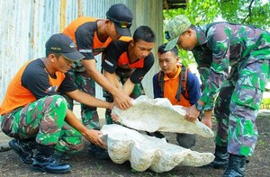Jelajahi Alor, Tim Ekspedisi NKRI Teliti Fosil Kerang Raksasa di Pulau Buaya