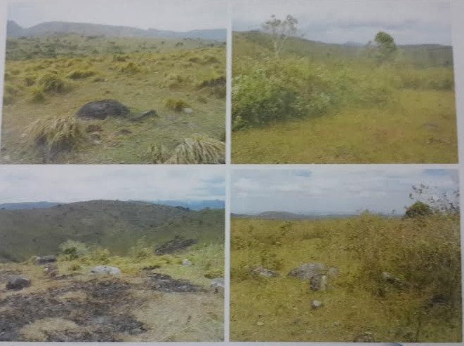 Beda dengan Yogya, Calon Kebun Angin Terbesar Ada di Pegunungan Sulsel