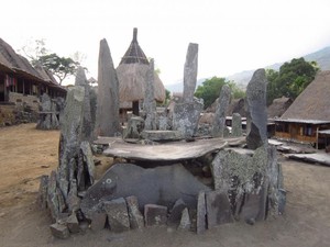 Berkunjung ke Kampung Megalitikum di Flores