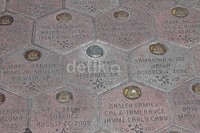 Pengunjung bisa menulis namanya di tanah Disneyland seperti Hollywood Walk of Fame, dengan membayar sejumlah uang. Tapi sejak 2008, sudah tidak diberlakukan.
