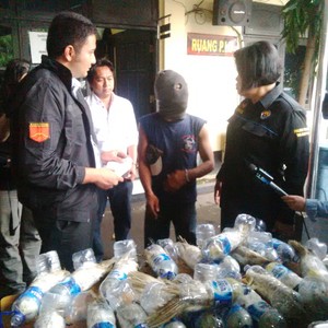 Satu Orang Pembawa Kakatua Jadi Tersangka, Ini Sosoknya
