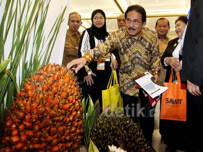 Sofyan Djalil Buka Pameran Kelapa Sawit Dunia
