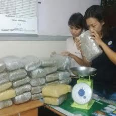 Ganja Ditemukan di Bawah Tempat Tidur Penumpang KM Dobonsolo