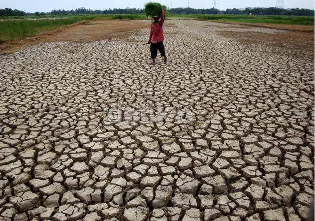 Sedih! Dari 77,3 Juta Ha Lahan Pertanian, Hanya 3% yang Punya Waduk