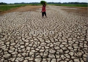 Sedih! Dari 77,3 Juta Ha Lahan Pertanian, Hanya 3% yang Punya Waduk