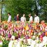 Menikmati Keindahan Bunga Tulip Belanda di Film 'Negeri van Oranje' Menikmati Keindahan Bunga Tulip Belanda di Film 'Negeri van Oranje'