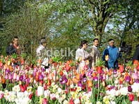 'Negeri van Oranje' menjadi film pertama yang diberi kesempatan untuk bisa melakukan pengambilan gambar di sana.