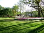 Menikmati Keindahan Bunga Tulip Belanda di Film 'Negeri van Oranje'