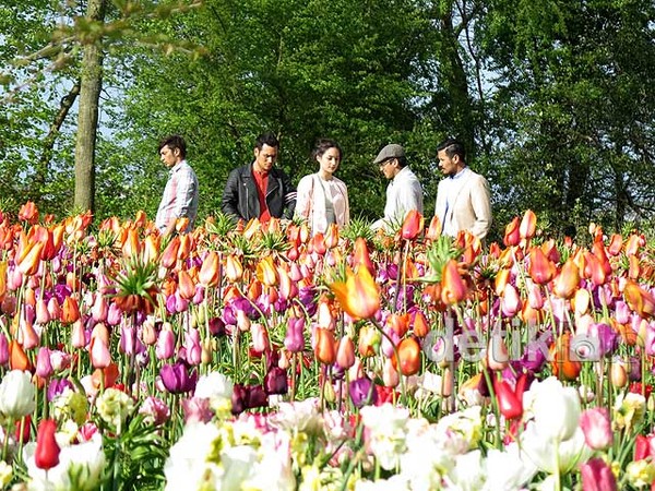 Menikmati Keindahan Bunga Tulip Belanda di Film Negeri van Oranje