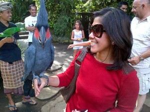 Meutya Hafid Siap Kampanyekan #SaveSiJambulKuning ke Pecinta Burung