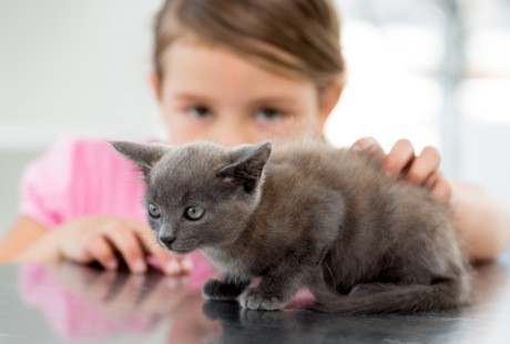 Studi: Hadapi Masa Sulit, Anak Lebih Banyak Curhat ke Peliharaan