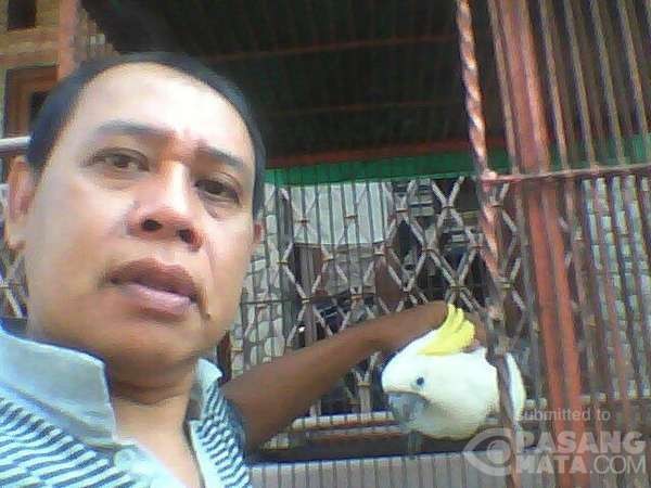 Warga Depok Berniat Serahkan Si Jambul Kuning Langsung ke Kemenhut