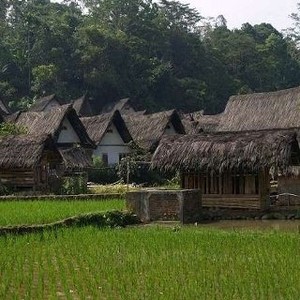 Papua Barat Punya 9.000 Ha Sawah, Tapi Beras Masih Bergantung dari Makassar