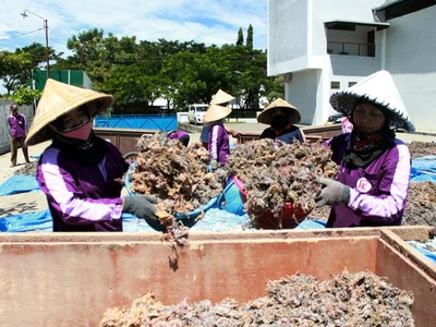 Kredit Sektor Kemaritiman BNI