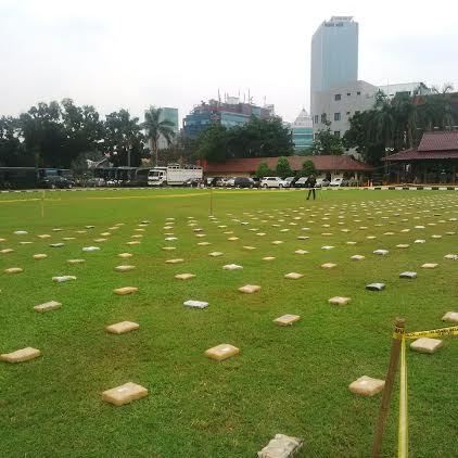Saat Ganja 2,1 Ton Dihamparkan di Lapangan Bhayangkara, Ini Penampakannya