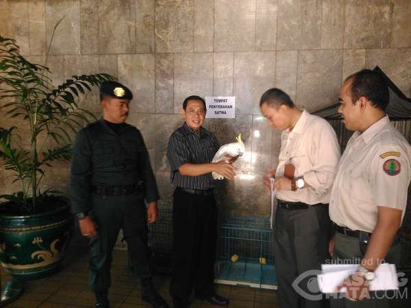 Staf Setjen DPR ini Serahkan Suganda Setelah Lihat Kakatua Dimasukkan ke Botol