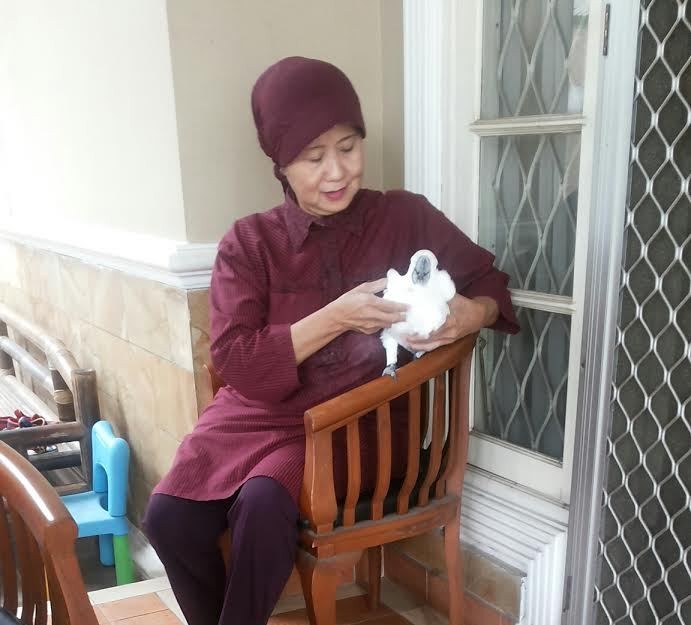 #SaveSiJambulKuning, Kesedihan Purnawirawan TNI dan Kaka yang Enggan Pergi