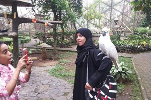 Soal Turis Muslim, Indonesia Masih Kalah dari Negara Tetangga